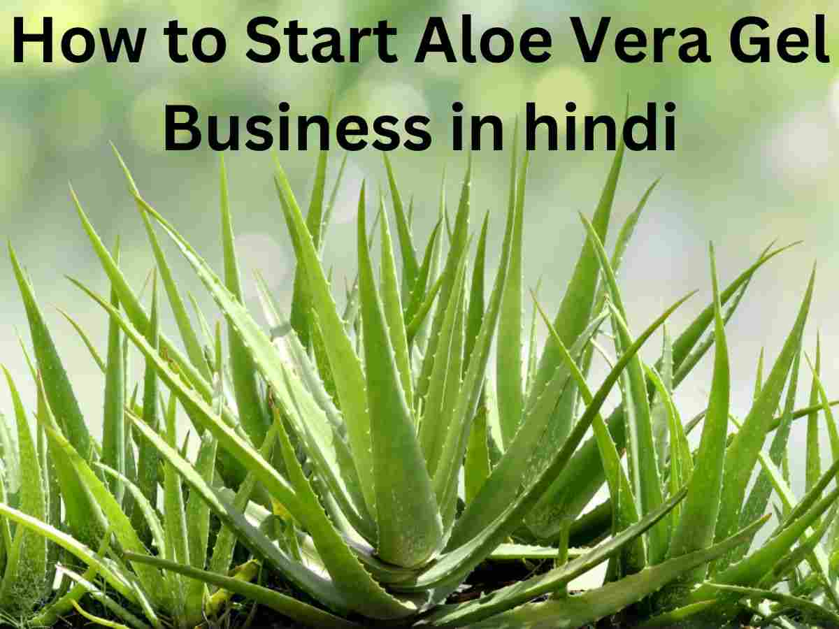 How to Start Aloe Vera Gel Business in hindi