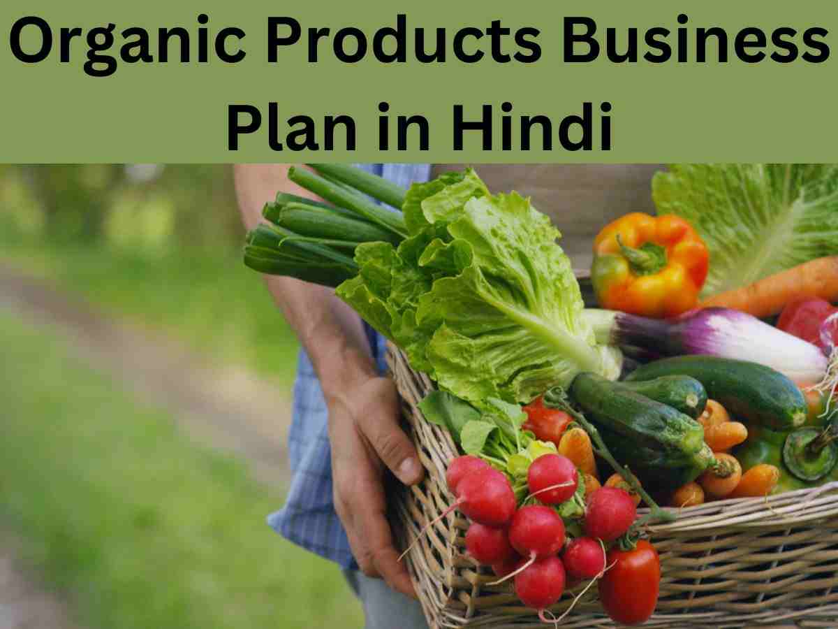 Organic Products Business Plan in Hindi